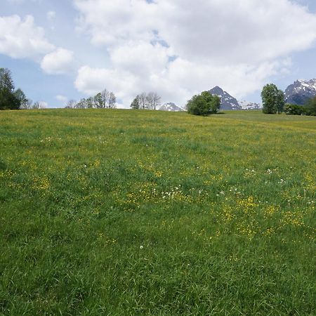 Pension & Appartements Anny Maria Alm am Steinernen Meer Zewnętrze zdjęcie