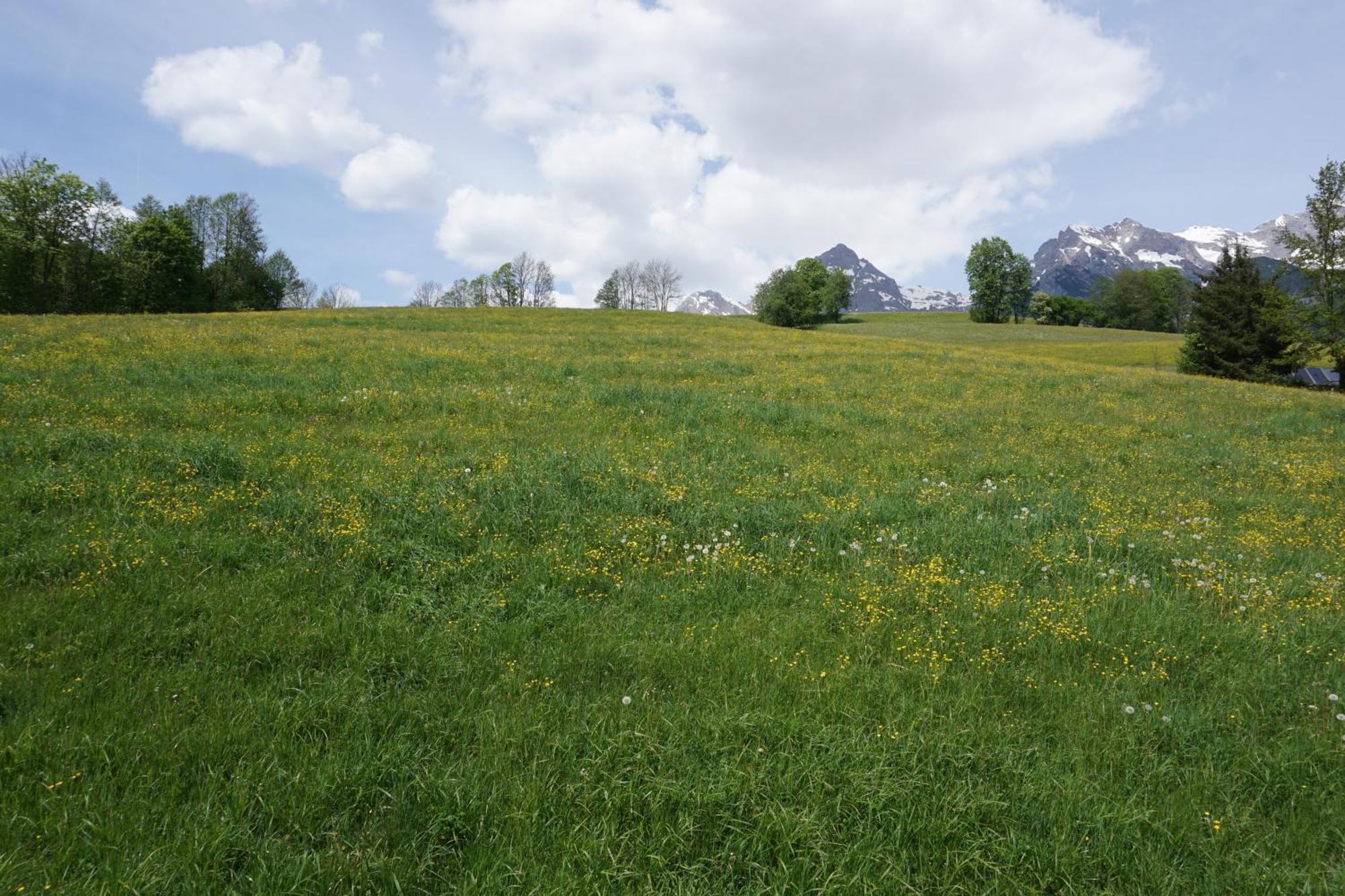 Pension & Appartements Anny Maria Alm am Steinernen Meer Zewnętrze zdjęcie